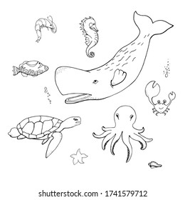 Ocean animals set: sperm whale, sea turtle, octopus, crab, seahorse, coral fish, shrimp, starfish  in doodle style isolated on white background. Silhouettes Marine fauna. Vector outline illustration.