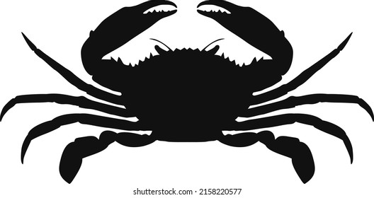 Ocean Animals Silhouette Vector Clipart Graphics