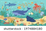 Ocean animals, underwater life, coral reefs and seaweeds, flat cartoon background Vector childish kids marine creatures. Algae and seashells, shark, turtle, squid and clown fish, jellyfish and whale