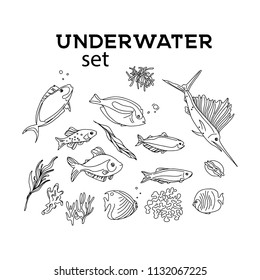 Ocean animals underwater sketch. Monochrome fish line art. Summer tropical food. Deep water illustration for restaurant, shop. wrap, cloth, advertising.