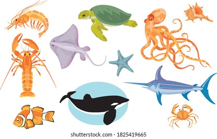 Animales oceánicos.Pescado de espada, pez estrella, langosta, cangrejo de río, ballena, pulpo, camarón, pez payaso, tortuga, tortuga, tortuga, gránulos.