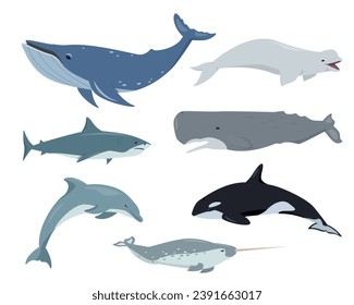 Animales acuáticos oceánicos. Los mamíferos submarinos arrojan ballena jorobada, tiburón, ballena espermática, delfín, narballena, beluga y ballena asesina en diferentes poses. Ilustración plana vectorial aislada en fondo blanco.