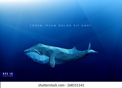 Ocean background with blue whale in polygonal style