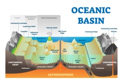 Ocean Basin Structure Vector Illustration. Labeled Geography Educational Underwater Level Scheme With Coast, Continental Margin And Crust. Geological Explanation With Deep Atlantic Or Pacific Elements