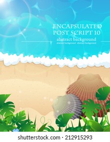 Ocean beach with cockleshells and dense tropical vegetation