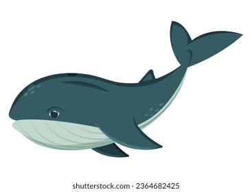 Ocean blue whale cartoon character vector illustration isolated on white background