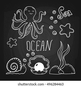 Ocean bottom ob blackboard background. Hand drawn octopus, starfish, snails, algae, sea shell with black pearl in seabed. Isolated objects. Vector illustration.