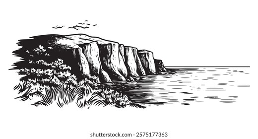 ocean cliff landscape with vegetation and birds in black and white