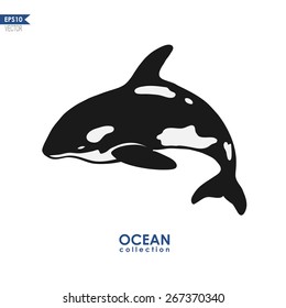 ocean collection, big blue whale isolated on white, black and white vector design