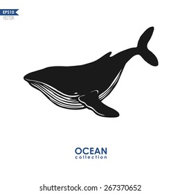 ocean collection, big blue whale isolated on white, black and white vector design