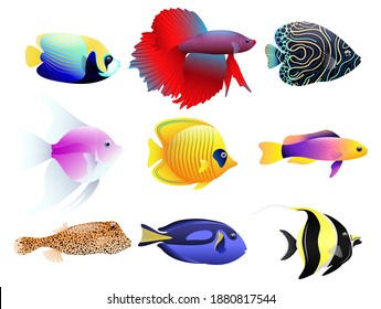 Ocean color fish set, underwater animals isolated cartoon icon aquarium animals .vector illustration tropical fish