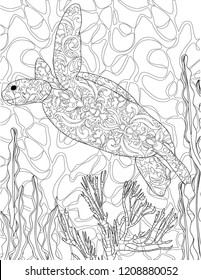 ocean coloring book page for adults