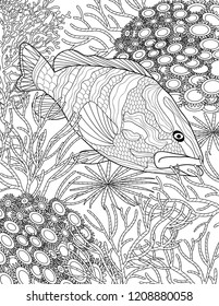 ocean coloring book page for adults