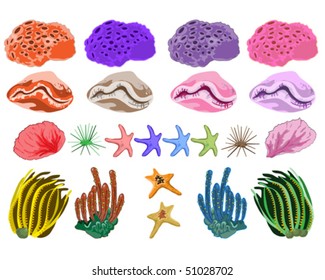 Ocean coral illustration in