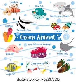 Aquatic Animal Names Images Stock Photos Vectors Shutterstock