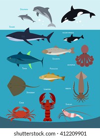 The ocean creatures vector design