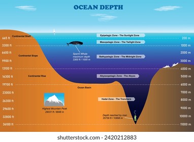 Diagrama de profundidad oceánica. Ilustración del vector de educación científica