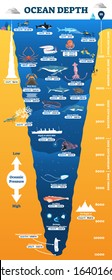 Ocean depth underwater wildlife infographic, vector illustration educational oceanography diagram.From scuba divers to white sharks, sperm whales and deepest point reached by human.Illustrated poster.