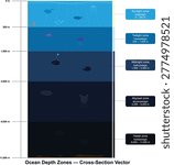 Ocean Depth Zones Cross Section Vector