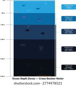 Ocean Depth Zones Cross Section Vector