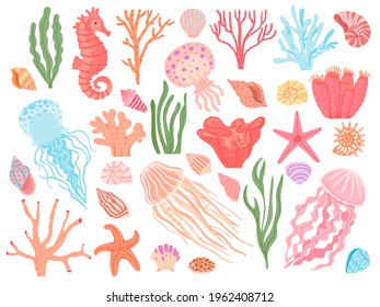 Ocean elements. Cartoon seaweeds, corals, seashells and reef animals. Sea starfish, seahorse and jellyfish. Nautical decorative vector set. Underwater ecosystem, aqua natural creatures