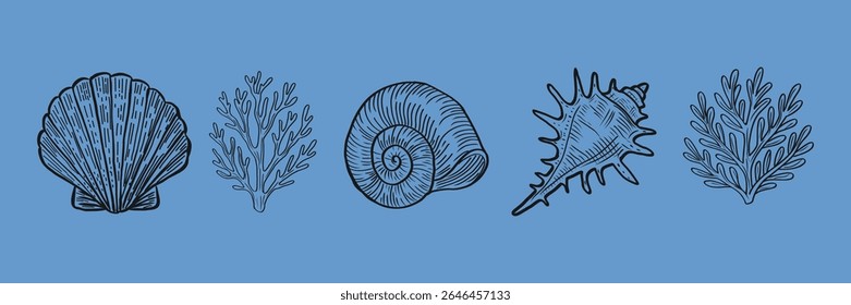 Ocean elements set vector. Seashells, coral plants, and starfish in black on deep blue.