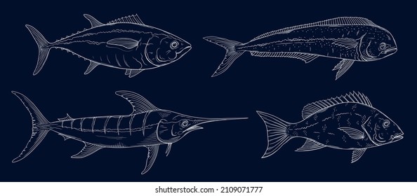 Ozeanfisch-Doodles-Set. Marlin, Thunfisch, Mahi Mahi, rote Schnapper-Fischskizze. Blauer Marlin, Goldmakrelen, Roter Thun. Salzwasser-Angeldoodle.