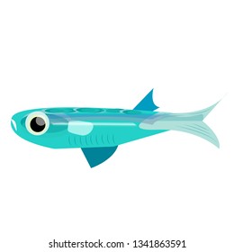 ocean fish flat illustration Marine creatures and underwater world series