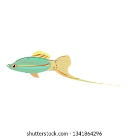 ocean fish flat illustration Marine creatures and underwater world series