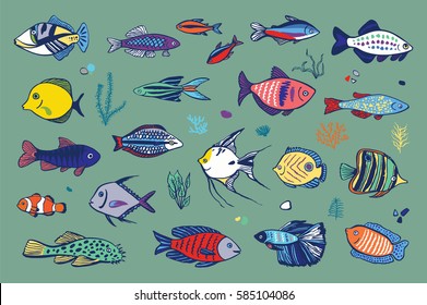 ocean fish hand drawn set