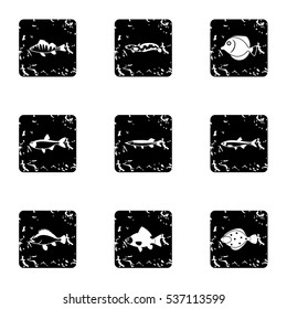 Ocean fish icons set. Grunge illustration of 9 ocean fish vector icons for web