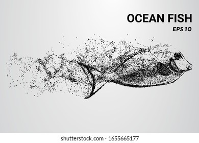 Ocean fish from the particles. Ocean fish consists of circles and dots. Ocean fish break up into molecules.
