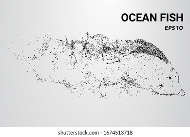 Ocean fish from the particles. Ocean fish consists of circles and dots. Ocean fish break up into molecules.
