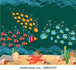 ocean fish. Ocean Underwater World