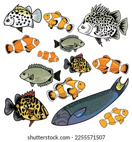 ocean fish vector collection. coral, reef, tropical, fishing, pet, catch, seafood, parrot fish, clown fish, scat fish, vector illustration