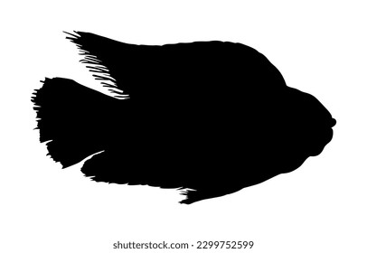 Ocean fish vector silhouette illustration isolated on white background. Aquarium fish, exotic under water world. Coral reef Pisces.