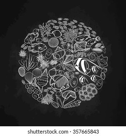 Ocean flora and fauna in the circle shape . Fish, seashells, seaweed and corals drawn in line art style on chalkboard. 