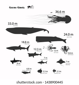 Ocean giant marine animal vector illustration style.