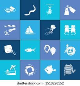 Ocean icon set and crampfish with flippers, eel and stripped vest. Flatfish related ocean icon vector for web UI logo design