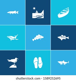 Ocean icon set and flip-flops with shark, seagull and pike fish. Nature related ocean icon vector for web UI logo design.