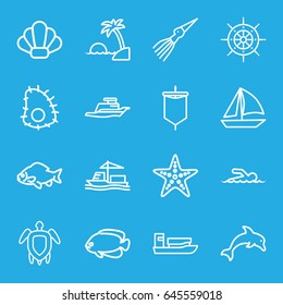 Ocean icons set. set of 16 ocean outline icons such as fish, cargo ship, ship, turtle  illsutration, starfish, swimmer, island, helm, shell, dolphin, extinct sea creature