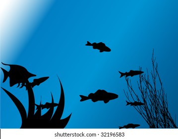 ocean illustration