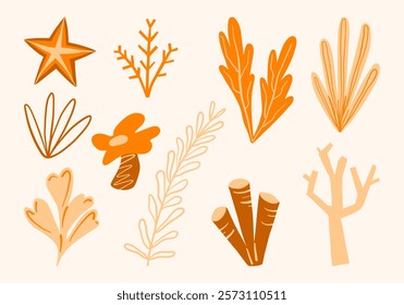 Ocean Inspired Marine Nature Illustration Set. A collection of ten detailed illustrations featuring coral, and underwater plants. Ideal for marine-themed designs, coastal decor, and aquatic projects