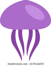 Ocean jelly fish, illustration, vector on a white background.