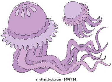 ocean jellyfish