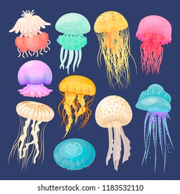 Ocean jellyfish bright set on dark blue. Beautiful marine coelenterate with a jelly like bell, transparent and colorful sea life. Vector flat style cartoon illustration isolated on blue background