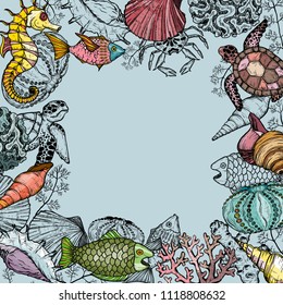 Ocean life background with shells, fish, corals, and turtle. Sea life organisms