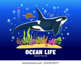 Anuncio de vida oceánica con orcas y paisaje submarino, con diversa vida marina y ambiente oceánico. Escena oceánica del Vector de la historieta con la orca, la tortuga marina, las medusas, el coral y los peces tropicales