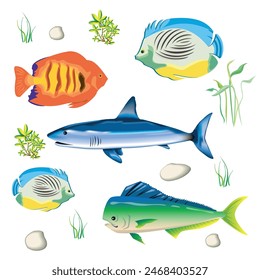 Ocean Life. Marine set with Sea Creatures. Fish, shark, algae and pebbles. Vector Graphics