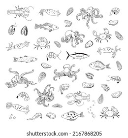 Ocean life: octopus, crab, lobster, squid, shrimp, oyster, mussels, fish vector illustrations lineset